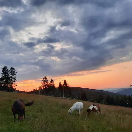 Na Stoku شقة كوربييلوف
