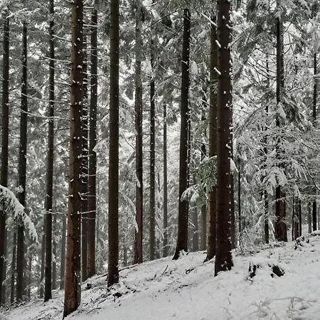 Na Stoku アパート