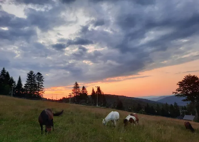 Na Stoku Apartment Korbielow